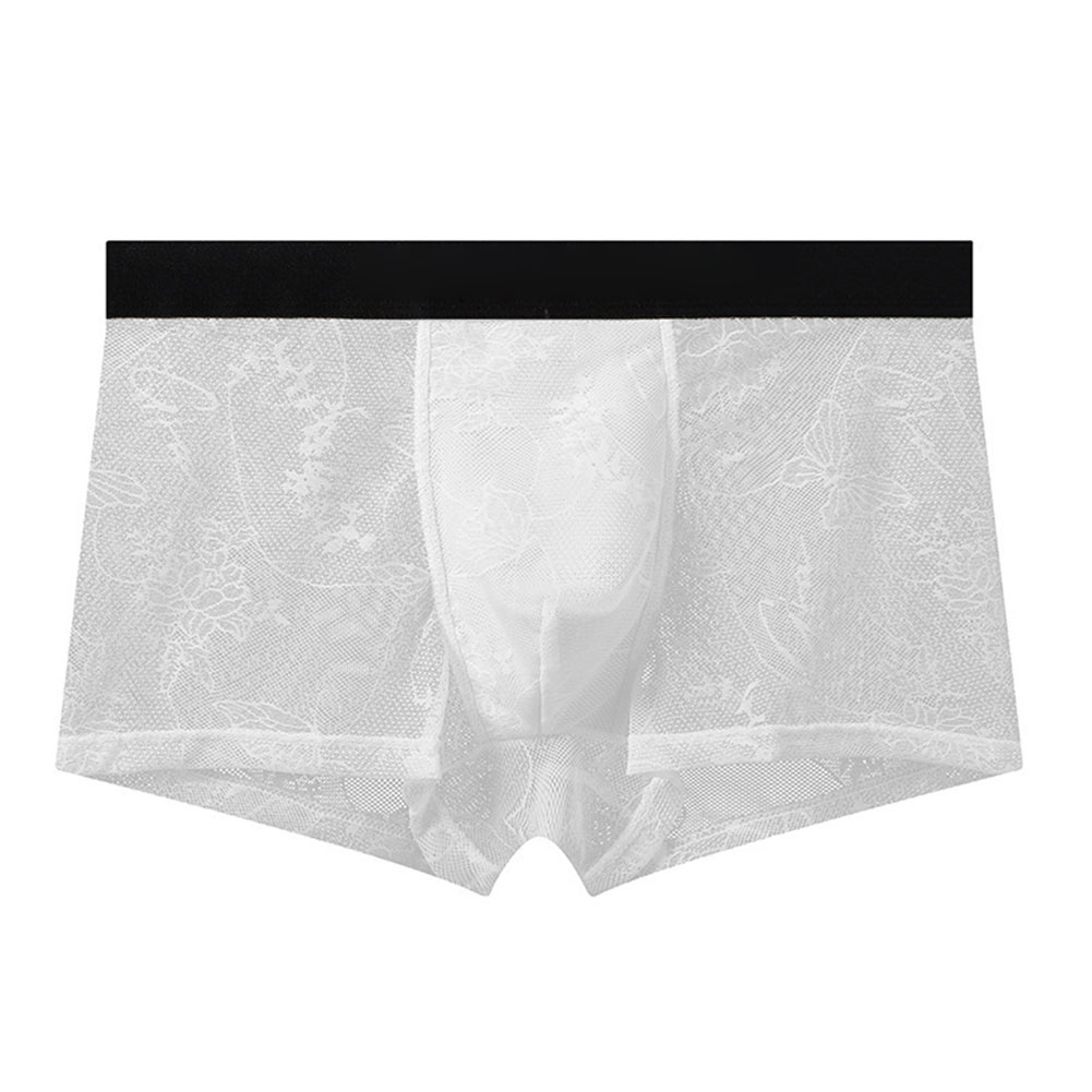 섹시한 남성용 메쉬 속옷, 란제리 트렁크, 투명 메쉬  - Boxer Shorts Modal 리뷰 및 가격
