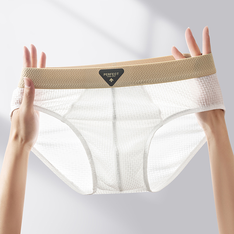 1Pcs 남성용 속옷 섹시 란제리 남성 팬티 나일론 솔 - Multi Pack Underwear 리뷰 및 가격